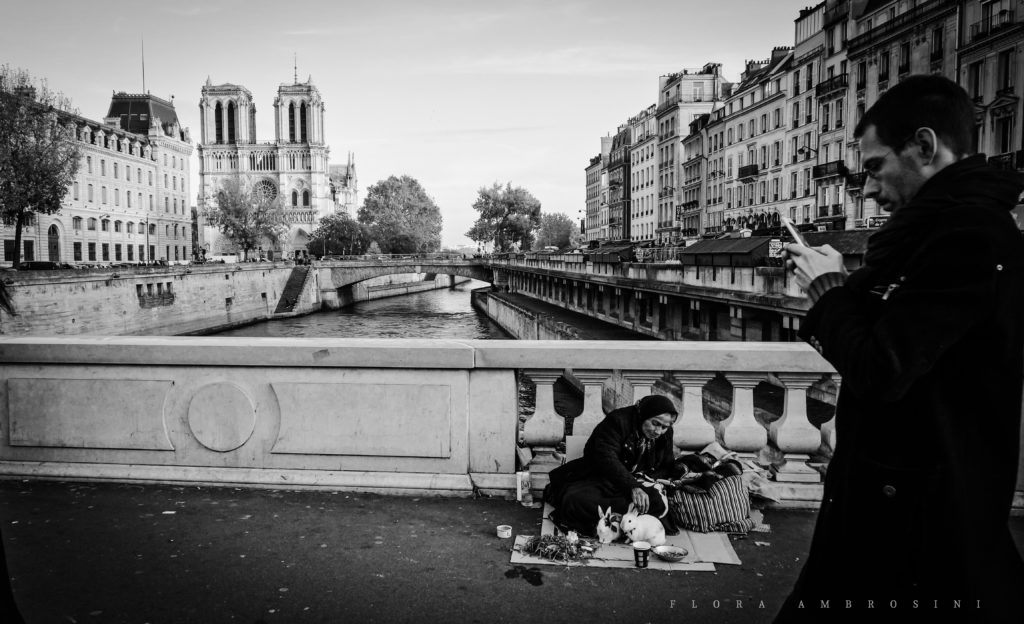 Paris 2017 - Notre-Dame - street photography